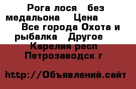 Рога лося , без медальона. › Цена ­ 15 000 - Все города Охота и рыбалка » Другое   . Карелия респ.,Петрозаводск г.